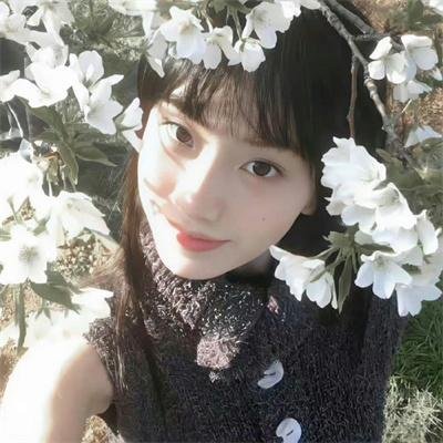 至高荣誉